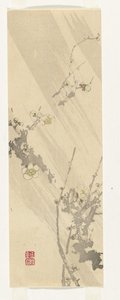 Plum Blossom by Anonymous