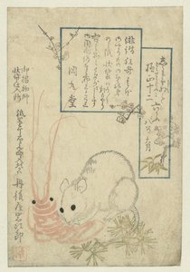 Rat with Crayfish