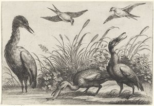 Herons and Swallows by Anonymous
