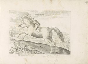 Racehorse with Rider Equus Maurus (title on object) Horse Breeds from the Royal Stables of Don Juan of Austria (series title) by Anonymous