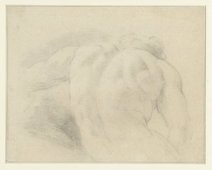 Back Study of a Male Nude Figure by Anonymous
