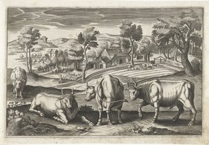 Cattle (Four-Legged Animals) (Animalivm Qvaddrvpedvm) by Anonymous
