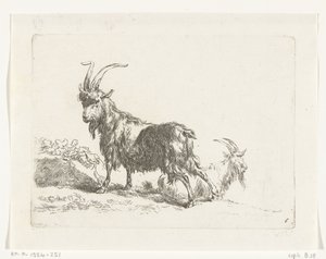Standing and Lying Goat or Buck by Anonymous