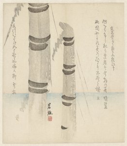 Two Bamboo Stems by Anonymous