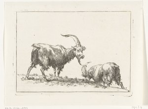 Two Goats or Bucks by Anonymous