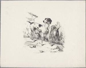 Two Dogs by a Fence by Anonymous