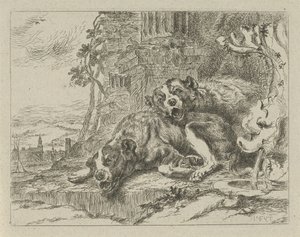 Two Lying Dogs
