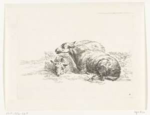 Two Lying Sheep (Goats and Sheep after N.P. Berchem) by Anonymous