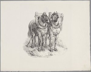 Two Harnessed Horses