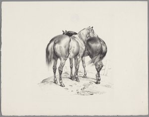 Two horses seen from behind (Six small animal studies series)