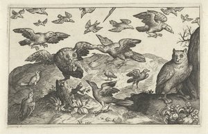 Owl with Prey Attacked by Other Birds (Birds and Insects series) by Anonymous