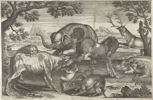 Fighting Animals