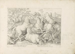 Fighting Horses