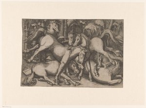 Fighting Horses by Anonymous
