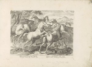 Fighting horses with a trampled horse by Anonymous