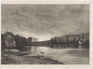 Pond with Two Herons