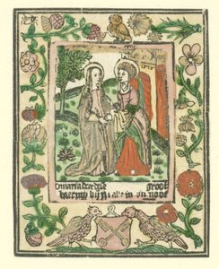 Visitation (Life of Mary)