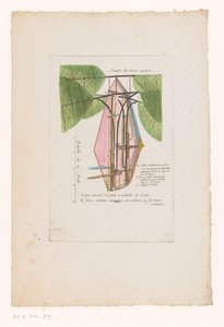 Flying Machine of Mr. Blanchard (Three-Quarter View) by Anonymous