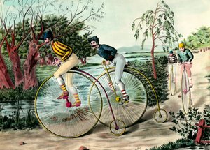 History of the bicycle: race of grand bi. Engraving of the 20th century. Private collection