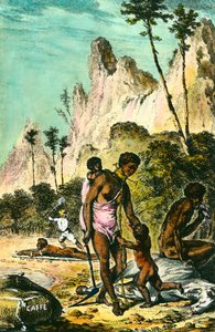 Journey to the Ile de France (present-day Mauritius): The Work of Slaves. Engraving of the 18th century. Private collection