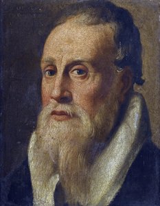 Portrait of the Poet Nicolo da Verona by Anonymous Anonymous
