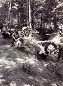 Photograph from a Personal Album of an Infantry Lieutenant During the First Months of the First World War
