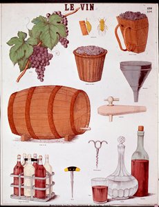 Plate Illustrated on the Art of Making Wine and on Oenology: Grape, Funnel, Cinnamon, Basket and Extractor, Piece of Wine, Corkscrews, Bottle, Carafe, Drill and Wine Case