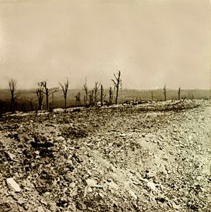 Stereoscopic glass plate on the First World War