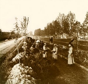 Stereoscopic Glass Plate on the First World War by Anonymous Anonymous