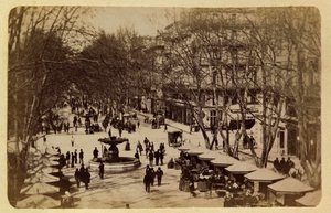 The City of Marseille and Its Surroundings Circa 1885-1890: The Flower Walk, Courses Saint Louis