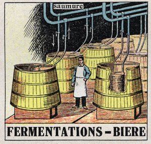 The cold industry: malt fermentations to produce beer. Anonymous illustration from 1925. Private collection.