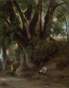 Italian Tree Landscape (Road near Albano)