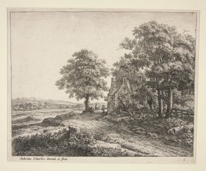 The Great Linden Tree in Front of