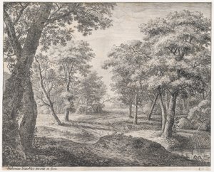 The Road Through the Woods by Anthonie Waterloo