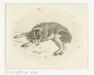 Lying Dog
