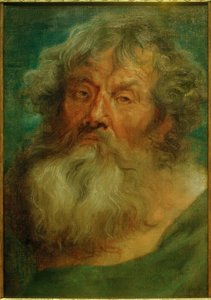 Head of an Old Man by Anthony van Dyck