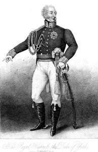 His Royal Highness the Duke of York by Anthony Cardon