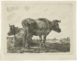Two Cows