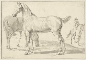Two Horses in a Meadow, Rider on the Right by Anthony Jacobus Offermans