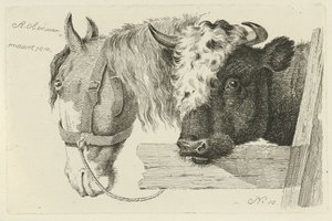 Horse Head and Bull Head Studies of Cows, Sheep, and Goats (series title)