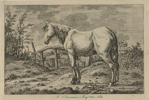 Standing Horse by Anthony Oberman