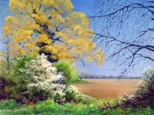 Blackthorn Winter by Anthony Rule