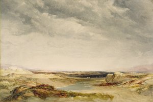 A Heath Near the Coast