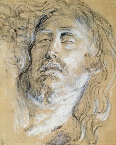 Head of the Dead Christ by Anthony van Dyck