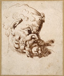 Study of an Antique Head of Silenus