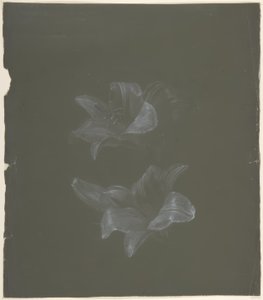 Floral Design