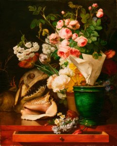 Still Life with Flowers, Shells, Shark Head
