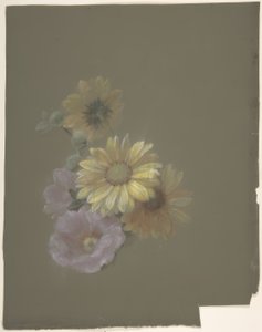 Yellow Daisies and Pink Wild Rose