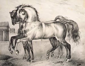 The horses ridden by Louis Philippe, the Duke of Orleans at the Battle of Valmy, engraved by Victor Adam (c.1834-38) by Antoine Charles Horace Vernet