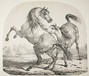 Wild Horses Fighting, c.1820 by Antoine Charles Horace Vernet